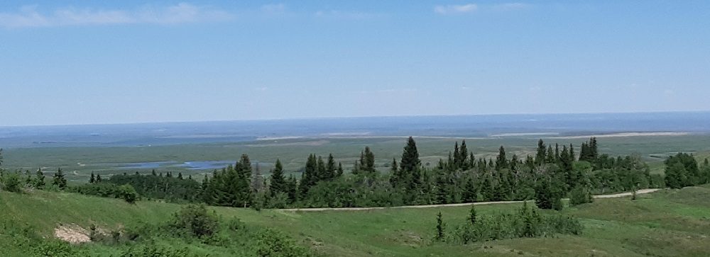 Big Sky Cyprus Hills