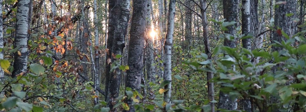 A New Day Dawning