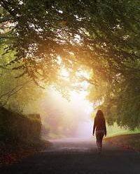 The Spiritual Journey